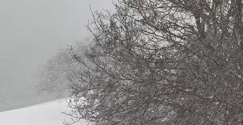 D T3fnwubnJv2b3m.jpg