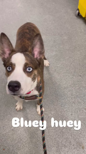 zhoGx34xkkHUo NH.jpg