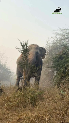 IbFgBDbcYt94Qfd .jpg