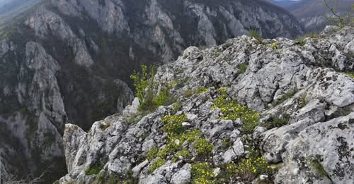 1188269944387046779?url=https%3A%2F%2Ffelvidek.ma%2Fwp content%2Fuploads%2F2026%2F01%2F4 58b662c2576.jpg