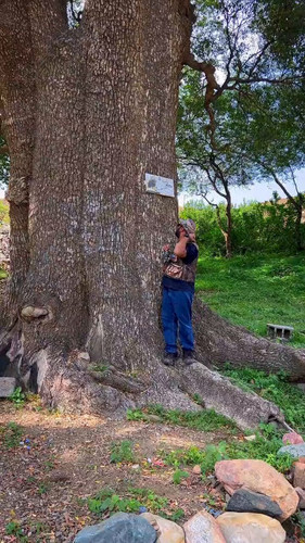 CKnOjPg p80dWx15.jpg