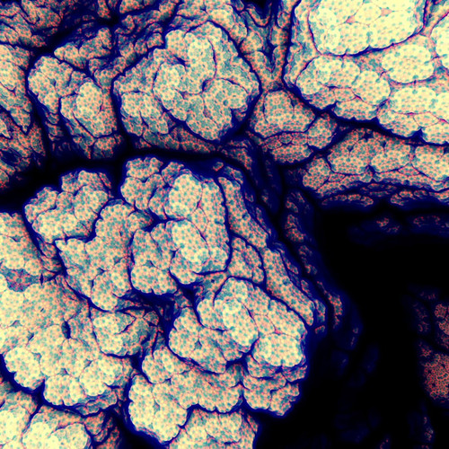 e 65ph NUsKfD0wd.jpg