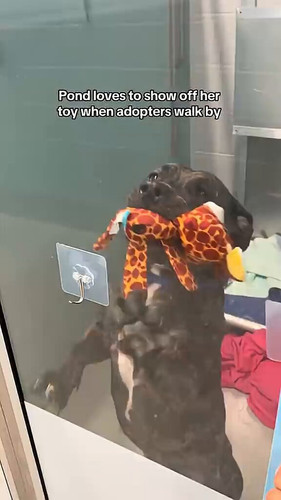 EUIkySN1BBqV6 GS.jpg