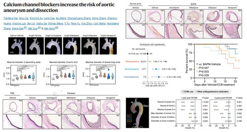 G ggMB XoAA7Le ?format=jpg.jpg