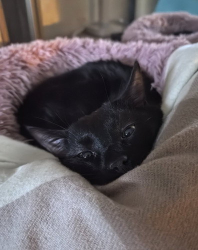 G ck7bQXEAEaeTx?format=jpg.jpg