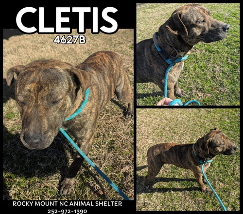 G 4nPgBXIAAu9N0?format=jpg.jpg