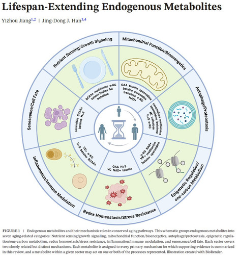 G UaptFa0AAx xJ?format=jpg.jpg