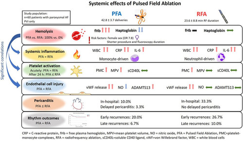 G Sk REagAAiDID?format=jpg.jpg