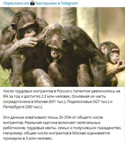 NUJS2pE4vF4Lp4RqfidRN6RaIGv56ddmi5j1w9CXo X3ZeNvzBFmmKnH9kbLIPtv 916wRvXipXuVFVdxu5XzRGJnrGjPkZvGr2g.jpg