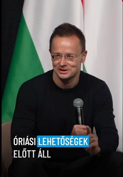 619294499 122207343020506056 343786596174116645 n.jpg?stp=dst jpg s590x590 tt6& nc cat=107&ccb=1 7& .jpg