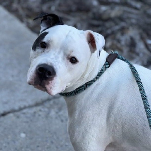 G jH6h0bIAAjY3E?format=jpg.jpg