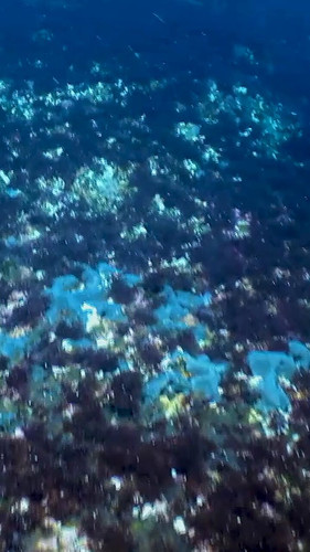 B3k8EUWg7WCHeF L.jpg