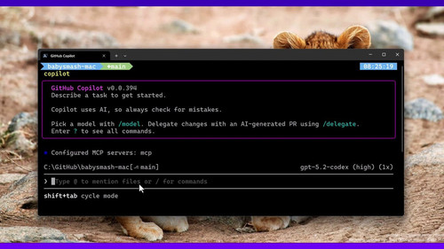 7h9Noo8OOPK O9wX.jpg