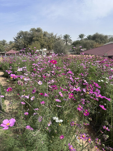 G hlc xXQAAsUF4?format=jpg.jpg