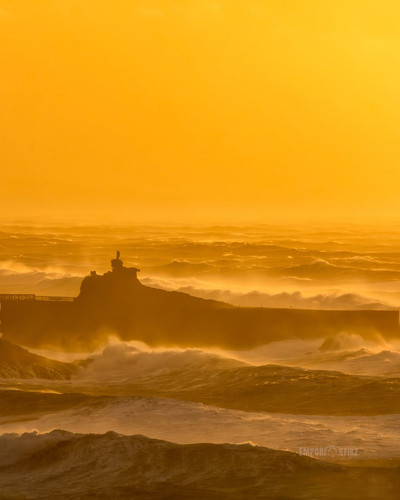 G ktbKdXAAAdoYj?format=jpg.jpg