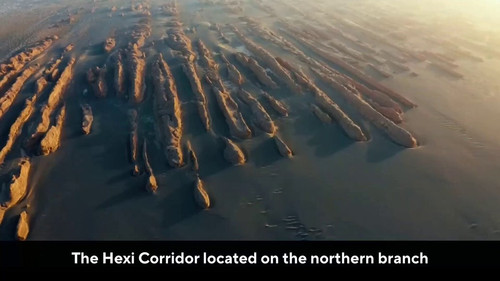 m T01t9C9ZCoZLOI.jpg