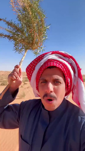 4d8THz gHWnXlqjs.jpg