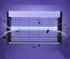 images?q=tbn:ANd9GcQoosdaSukp5b 3n jnRmANueOkBGkmNoprpg&s.jpg