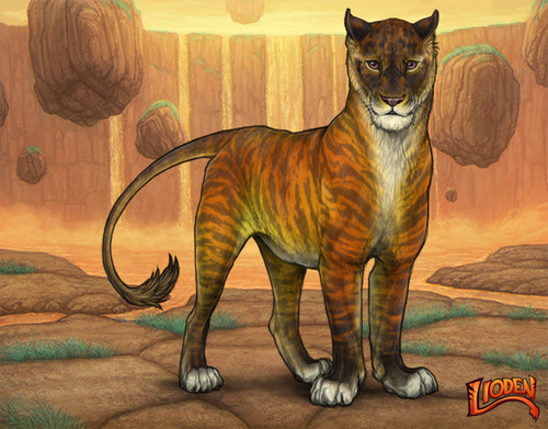 lioden wardrobe 2026 01 26T120546.460.png