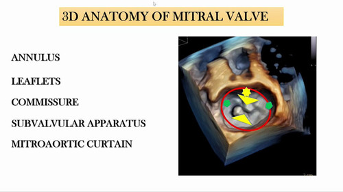 703t6kcSz7j ceQh.jpg