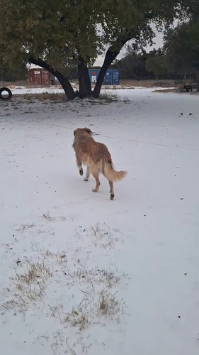 2uoXZjGoS13 R09J.jpg