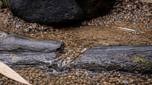 ezgif 3dbfca9f3287737f.gif