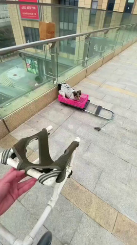 k9UWTbJeQnM7xNLk.jpg
