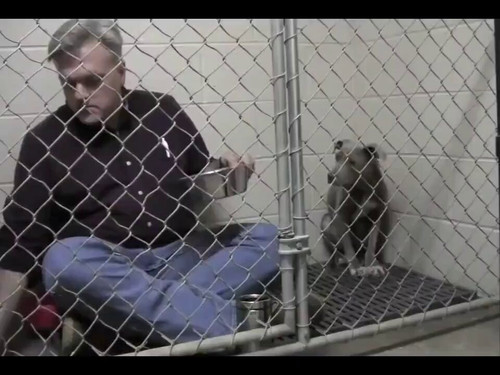 9h 897 wxif98Mrz.jpg