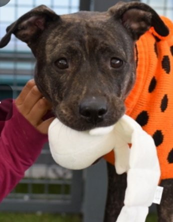 G N3uYWAAAZ2Oh?format=jpg.jpg