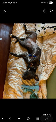 G N3xHW8AEkBag?format=jpg.jpg