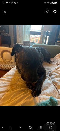 G N3ycW4AAlqoO?format=jpg.jpg