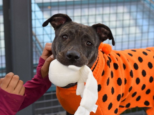 G Mof6bXUAAHARW?format=jpg.jpg