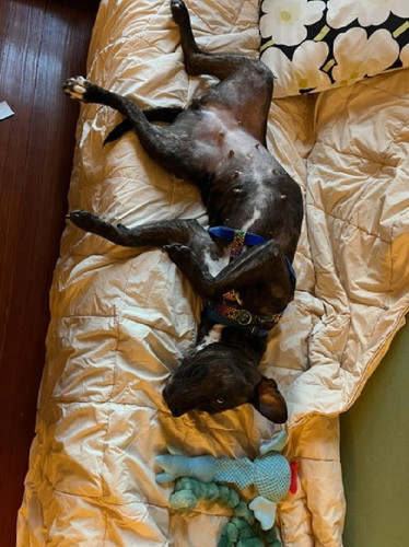 G W6mYKXEAEhQ55?format=jpg.jpg