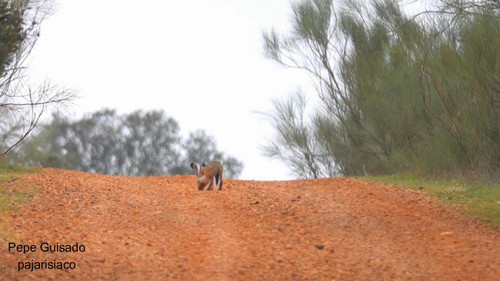 X2 VRg YlFiZWxRi.jpg