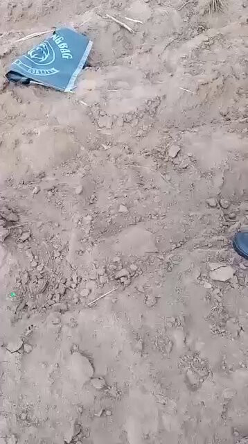 W MoMjqxoyLkJzap.jpg