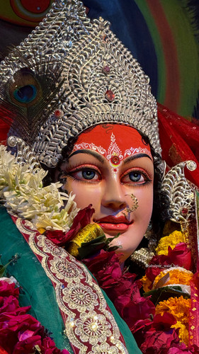 2CB90350 E672 47E6 BDB8 A8E41B3A5F9B.jpg