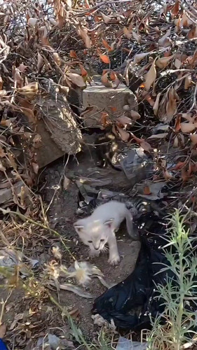 DyjXCZb mvBdy9DL.jpg