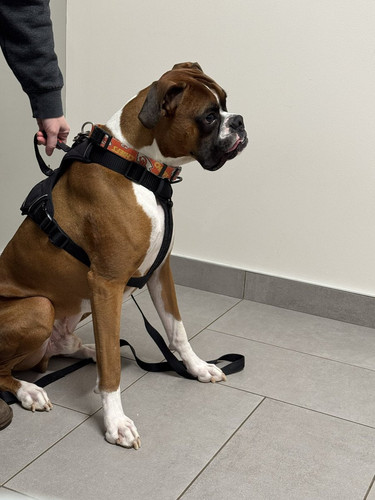 G h3rrpXQAACK9I?format=jpg.jpg