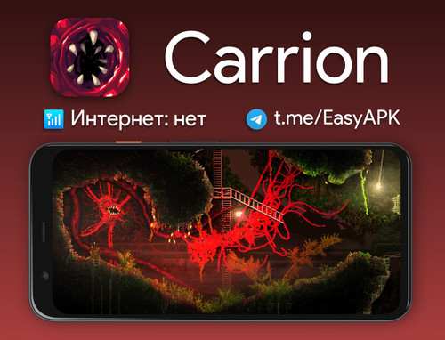 6034235292480375745 y 4.jpg