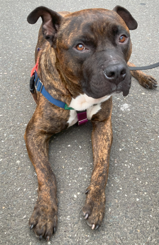 G HbuSIXoAAghR7?format=png.png