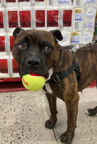 G i5R WAAAN7Ck?format=jpg.jpg