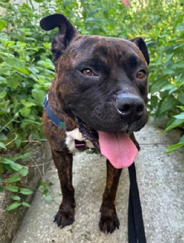 G i5R WIAAdDRA?format=jpg.jpg