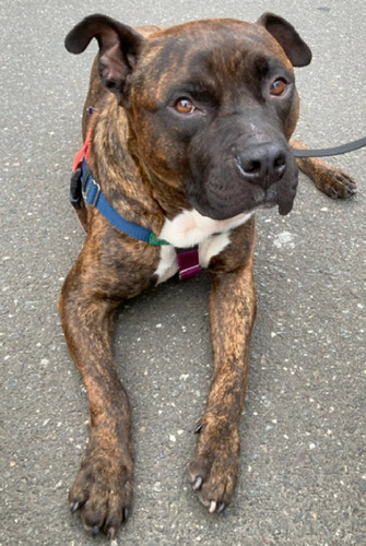 G i5SDFWIAAFMAh?format=jpg.jpg