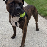 G HbqnDXsAE9k1d?format=png.png