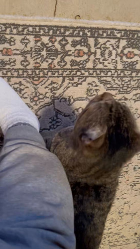 gEcTACC kRETBv Y.jpg