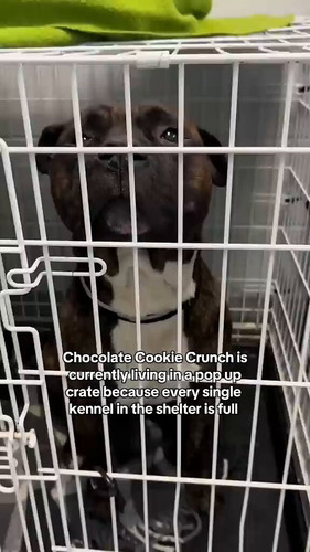 TwnAqKPR DlJUQSj.jpg