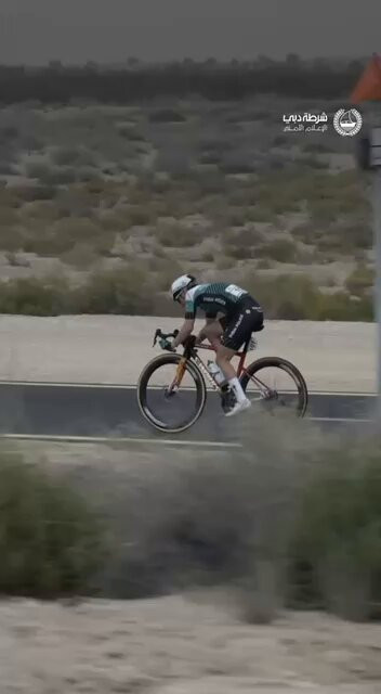 bsin XQYt 3eW5ca.jpg