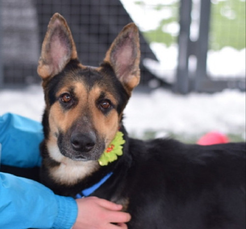 G 94cZcWkAAdV9B?format=jpg.jpg