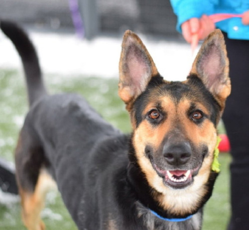 G 94cgkW0AAL1l ?format=jpg.jpg