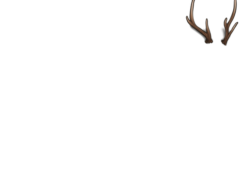 HogDeer Mng female.png